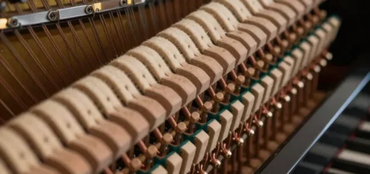 The Anatomy of Acoustic Action in Upright Pianos